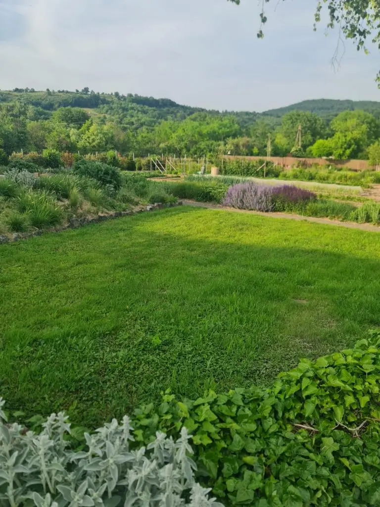 Kert és panoráma